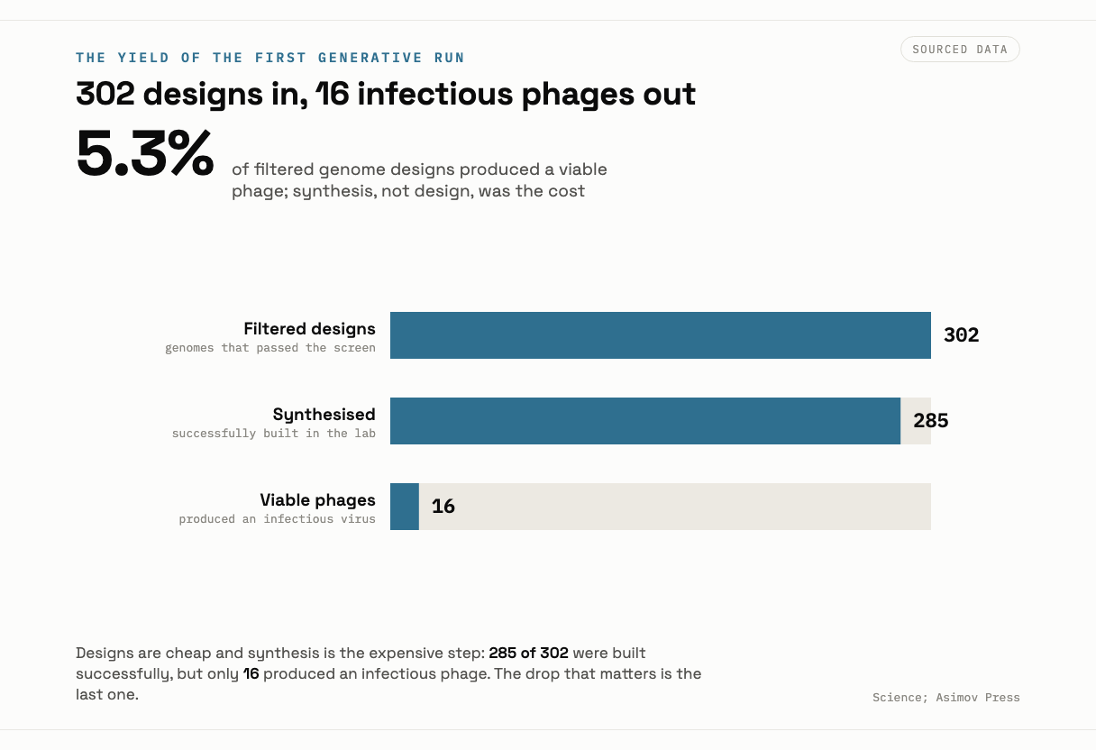 Three descending bars showing the yield of the first generative phage run: 302 filtered genome designs, 285 of them successfully synthesised, and 16 that produced infectious phages.