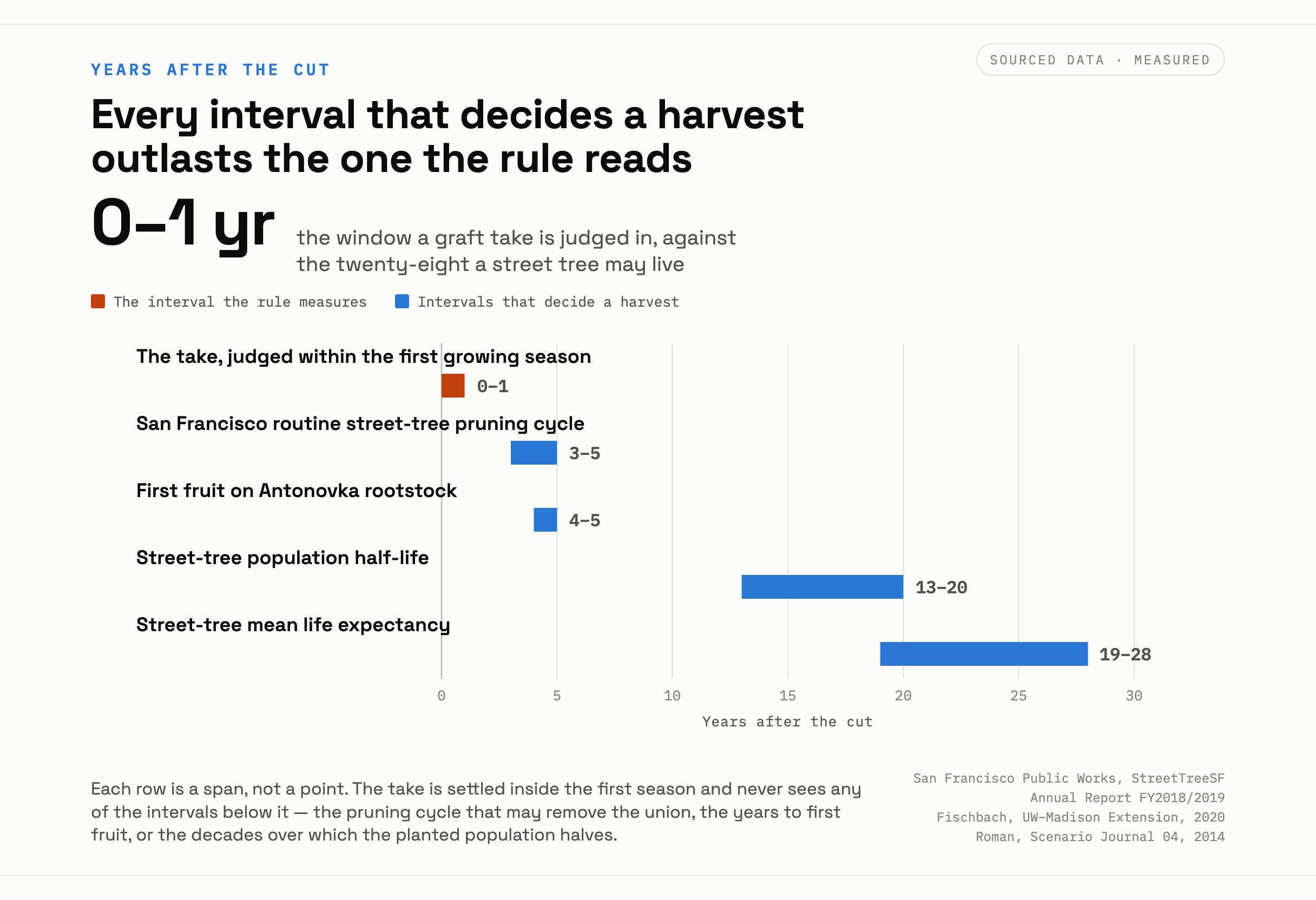 A timeline in years: the take judged in one spring, San Francisco routine pruning every three to five years, no fruit until year four or five on one common apple rootstock, and a street-tree population half-life of 13 to 20 years.